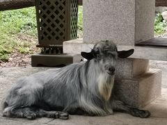 -福建鲤鱼洲酒店