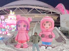 -沈阳奥体冰雪嘉年华