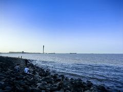 -上海吴淞炮台湾国家湿地公园