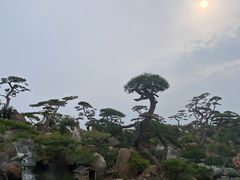 -罗红摄影艺术馆