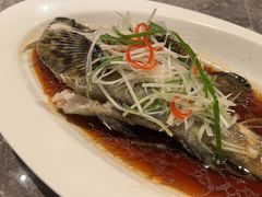 -喜来登由由大酒店九州膳坊中餐厅