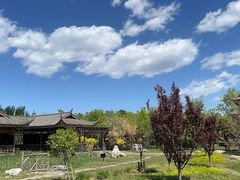 -武清南湖绿博园