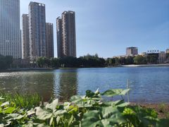 -仙女湖公园