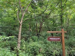 -大岭沟猕猴桃谷风景区