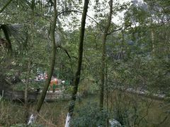 -鱼凫国都大酒店温泉