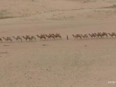 -黄沙古渡原生态旅游区
