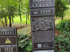 -合肥滨湖国家森林公园