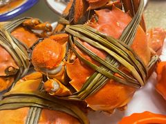 -水岸居湖景农家乐·阳澄湖大闸蟹