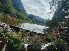 -深圳仙湖植物园