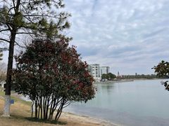 -美兰湖景区