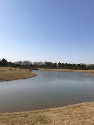 -水八仙生态园