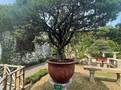 -苏州园林博物馆