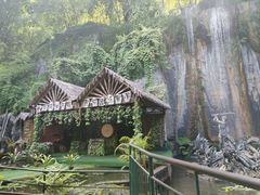 -西双版纳原始森林公园