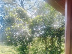 -侯臣咖啡文化村