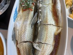 -翡翠江南(国贸商城店)