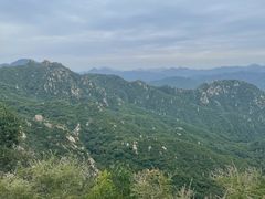 -大岭沟猕猴桃谷风景区