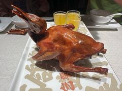 -大鸽饭(动物园店)