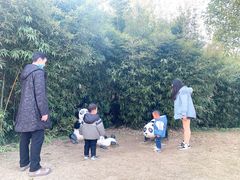 -木兰水镇旅游景区