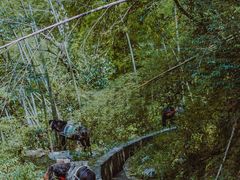 -萍乡武功山风景名胜区