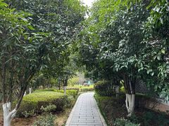 -八大山人梅湖景区