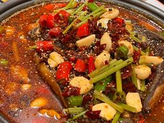 -宝记烧烤·碳锅羊肉·羊蝎子火锅·夜食社(文体路创始店)