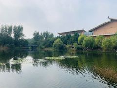 -溱湖国家湿地公园