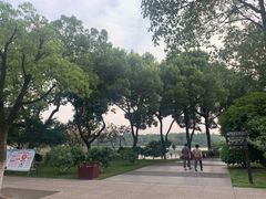 -圩墩遗址公园