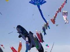 -潍坊滨海云门国际风筝放飞场