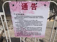 -桃花堤公园