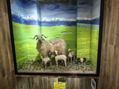 -清真·益鑫羊肉手抓馆(花园北街店)