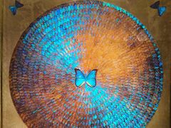 -上海昆虫博物馆