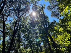 -北京上方山国家森林公园