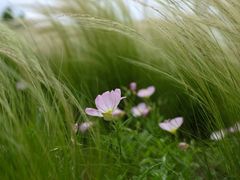 -上海山野camping·户外天幕烧烤·团建拓展营地