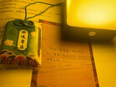 -剧狐剧本杀·月球探案馆(人民广场1号店)