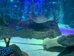 -沈阳海洋探索中心