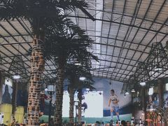 -石岐乳鸽村(南海第三分店)