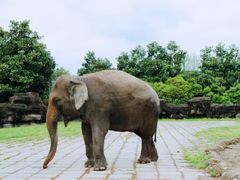 -杭州野生动物世界