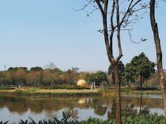 -顺峰山公园