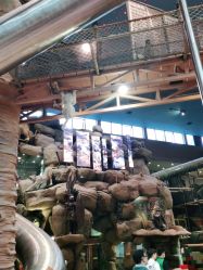 点击看大图 -卡通尼·Safari非洲探索乐园·生日会(金桥国际商业广场店)