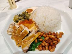 香港豉油鸡饭-金戈戈香港豉油鸡(南山海岸城店)