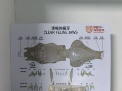 -半岛宠物医院24小时(科华中路店)