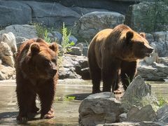 -北京野生动物园