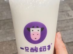 -一只酸奶牛(八一路店)