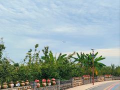 -空港花田景区