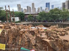 -昆明动物园