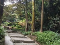 -黄埔油麻山森林公园