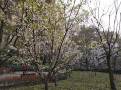 -徐家汇源景区-衡山公园