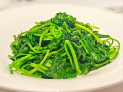 -凤凰湘语(浦东旗舰店)