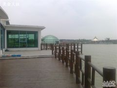 -上海都市菜园