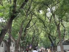 -北京国子监胡同